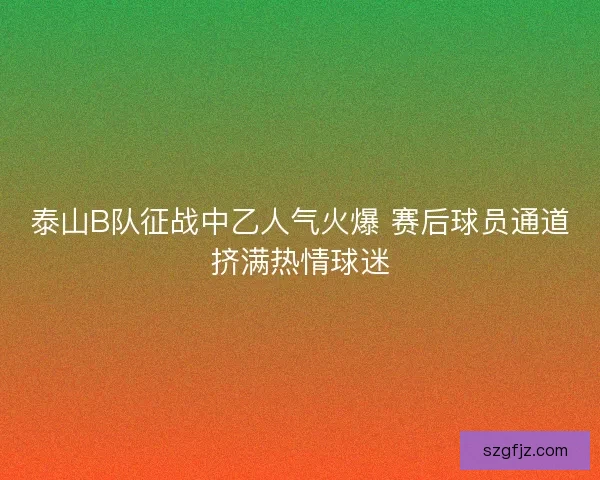 泰山B队征战中乙人气火爆 赛后球员通道挤满热情球迷